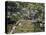 Aerial View of Port-Au-Prince, Haiti-null-Premier Image Canvas