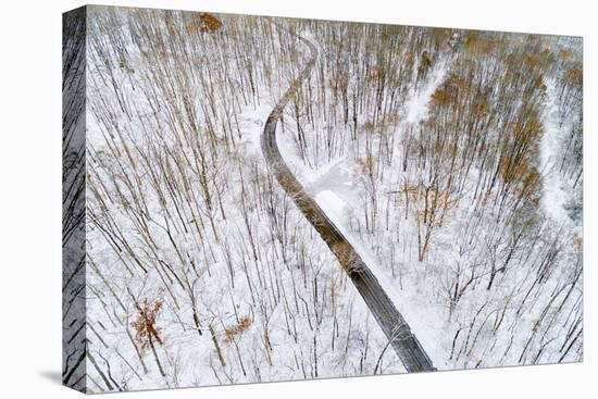 Aerial view of road in forest in winter, Marion Co., Illinois, USA-Panoramic Images-Premier Image Canvas