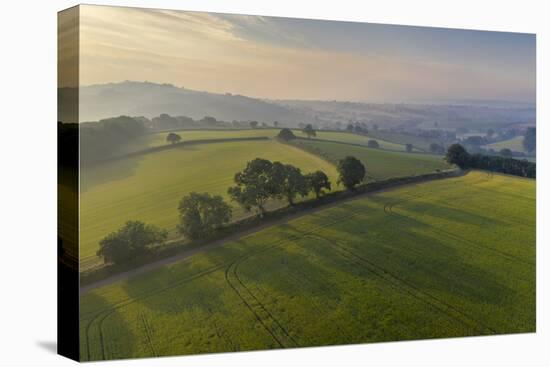 Aerial view of rolling countryside at dawn on a hazy summer day, Devon, England-Adam Burton-Premier Image Canvas