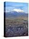 Aerial View of the Capital with Snow-Covered Mountain in Background, La Paz, Bolivia-Jim Zuckerman-Premier Image Canvas