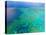 Aerial View of the Great Barrier Reef, Queensland, Australia-Miva Stock-Premier Image Canvas