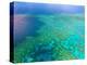 Aerial View of the Great Barrier Reef, Queensland, Australia-Miva Stock-Premier Image Canvas