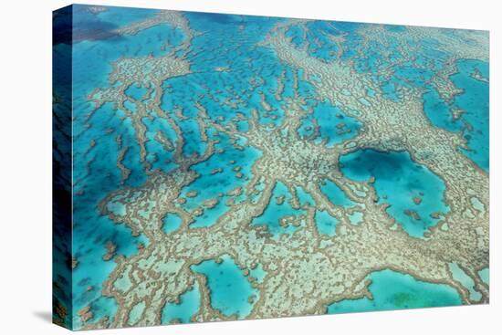 Aerial View of the Great Barrier Reef, Queensland, Australia-Peter Adams-Premier Image Canvas