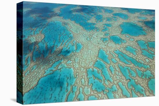 Aerial View of the Great Barrier Reef, Queensland, Australia-Peter Adams-Premier Image Canvas