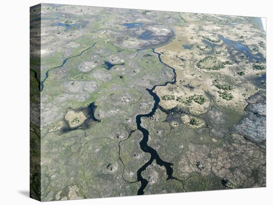 Aerial view of the Okavango Delta during drought conditions in early fall, Botswana-Michael Nolan-Premier Image Canvas