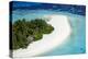 Aerial view of tropical island with lagoon, The Maldives, Indian Ocean, Asia-Sakis Papadopoulos-Premier Image Canvas