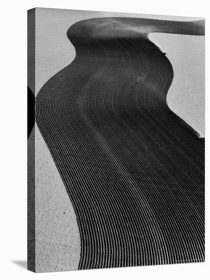 Aerial View of Two Tractors in Field Plowing Furrows in Methods Called "Listing" and "Contouring"-Margaret Bourke-White-Premier Image Canvas
