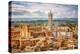 Aerial View over Siena: Siena Cathedral-sborisov-Premier Image Canvas