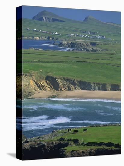 Aerial View over the Dingle Peninsula, County Kerry, Munster, Republic of Ireland, Europe-Maxwell Duncan-Premier Image Canvas