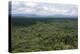 Aerial View over the Rainforest of Guyana, South America-Mick Baines & Maren Reichelt-Premier Image Canvas