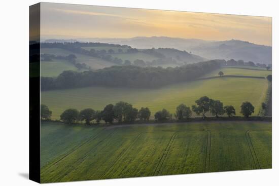 Aerial vista of rolling farmland in summer time, Devon, England, United Kingdom, Europe-Adam Burton-Premier Image Canvas