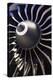 Aeroplane Engine-Mark Williamson-Premier Image Canvas