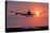 Aeroplane Landing At Sunset, Canada-David Nunuk-Premier Image Canvas