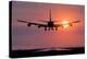 Aeroplane Landing At Sunset, Canada-David Nunuk-Premier Image Canvas