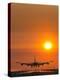 Aeroplane Landing At Sunset-David Nunuk-Premier Image Canvas