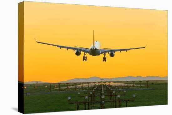 Aeroplane Landing, Canada-David Nunuk-Premier Image Canvas