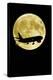 Aeroplane Silhouetted Against a Full Moon-David Nunuk-Premier Image Canvas