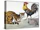 Aesop: Cat, Cock, and Mouse-Milo Winter-Premier Image Canvas