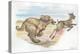 Afghan Hound Canis Lupus Familiaris Chasing Goat-null-Premier Image Canvas