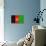 Afghanistan Flag Design with Wood Patterning - Flags of the World Series-Philippe Hugonnard-Stretched Canvas displayed on a wall