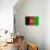 Afghanistan Flag Design with Wood Patterning - Flags of the World Series-Philippe Hugonnard-Stretched Canvas displayed on a wall