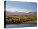 Afon Glaslyn River and Glaslyn Marshes, Porthmadog, Gwynedd, North Wales, UK-Pearl Bucknall-Premier Image Canvas