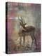 Africa Antelope-Greg Simanson-Premier Image Canvas