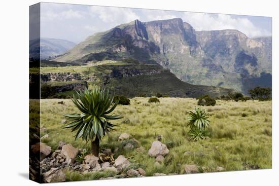 Africa, Ethiopian Highlands, Western Amhara, Simien Mountains National Park-Ellen Goff-Premier Image Canvas