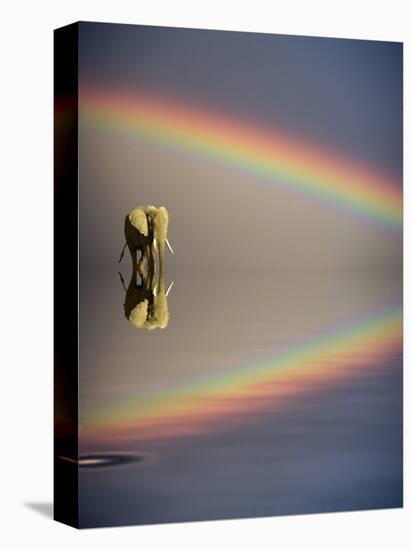 Africa, Kenya, Masai Mara Game Reserve. Composite of Bull Elephant, Water and Rainbow-Jaynes Gallery-Premier Image Canvas