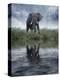 Africa, Kenya, Masai Mara Game Reserve. Composite of Elephant Reflecting in Water-Jaynes Gallery-Premier Image Canvas