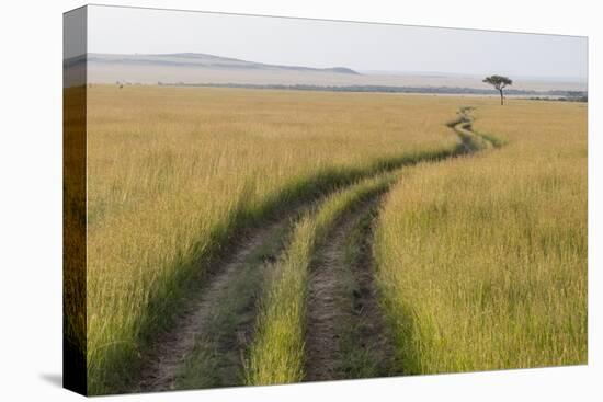 Africa, Kenya, Masai Mara National Reserve. Savannah with tire tracks.-Emily Wilson-Premier Image Canvas