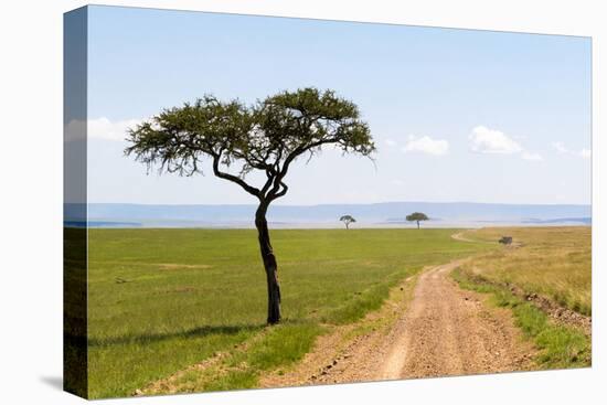 Africa, Kenya, Masai Mara National Reserve.-Emily Wilson-Premier Image Canvas