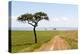 Africa, Kenya, Masai Mara National Reserve.-Emily Wilson-Premier Image Canvas