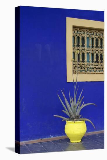 Africa, Morocco, Marrakesh. Cactus in a Bright Yellow Pot Against a Vivid Majorelle Blue Wall-Alida Latham-Premier Image Canvas