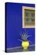 Africa, Morocco, Marrakesh. Cactus in a Bright Yellow Pot Against a Vivid Majorelle Blue Wall-Alida Latham-Premier Image Canvas