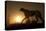 Africa, Namibia. Cheetah silhouette at sunset.-Jaynes Gallery-Premier Image Canvas