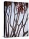 Africa, Namibia. Close Up of Quiver Tree-Jaynes Gallery-Premier Image Canvas