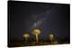 Africa, Namibia, Keetmanshoop. Milky Way over the Quiver tree Forest-Hollice Looney-Premier Image Canvas