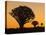 Africa, Namibia. Quiver Trees at Twilight-Jaynes Gallery-Premier Image Canvas