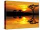 Africa Parading along the Lake-kesipun-Premier Image Canvas