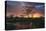 Africa. Tanzania. Sunset lights up a flock of Marabou storks in a marsh, Serengeti National Park.-Ralph H. Bendjebar-Premier Image Canvas