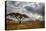 Africa. Tanzania. Views of the savanna, Serengeti National Park.-Ralph H. Bendjebar-Premier Image Canvas