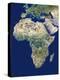 Africa-PLANETOBSERVER-Premier Image Canvas