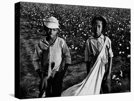 African American Children - Are Cotton Pickers Pulling Sacks Along Behind Them as They Pick Cotton-Ben Shahn-Premier Image Canvas