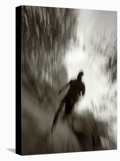 African American Male on a Training Run-Chris Trotman-Premier Image Canvas