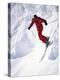 African-American Skier in Red-null-Premier Image Canvas
