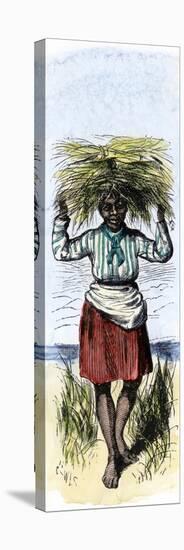 African-American Woman Carrying Sheaves on a Rice Plantation-null-Premier Image Canvas