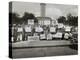 African Americans Demonstrate Against Segregation at the University of Texas, Austin-null-Stretched Canvas