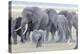 African Bush Elephant Herd, Amboseli National Park, Kenya-Martin Zwick-Premier Image Canvas