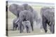 African Bush Elephant Herd, Amboseli National Park, Kenya-Martin Zwick-Premier Image Canvas